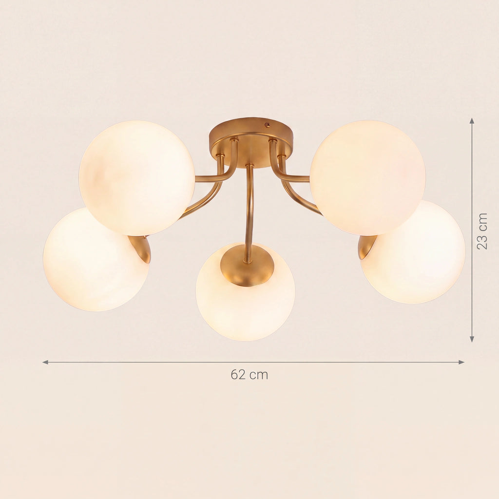 Schéma coté de la version cinq globes, 62 cm de diamètre et 23 cm de retombée