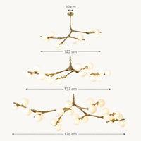 Schéma coté des trois versions : 123, 137 et 178 cm d'envergure, platine de 10 cm