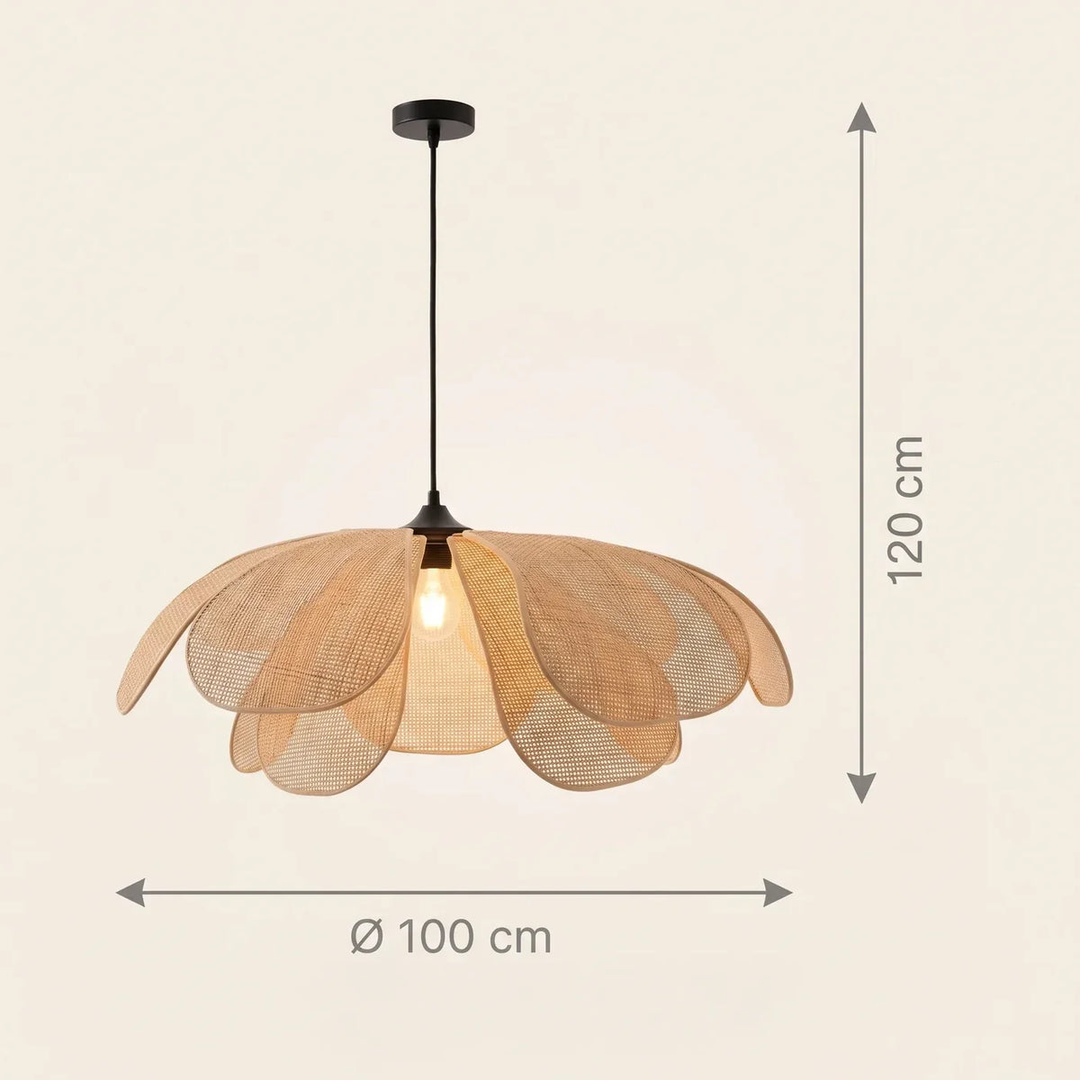 Schéma coté de la suspension Rousseau, Ø 100 cm et câble de 120 cm réglable