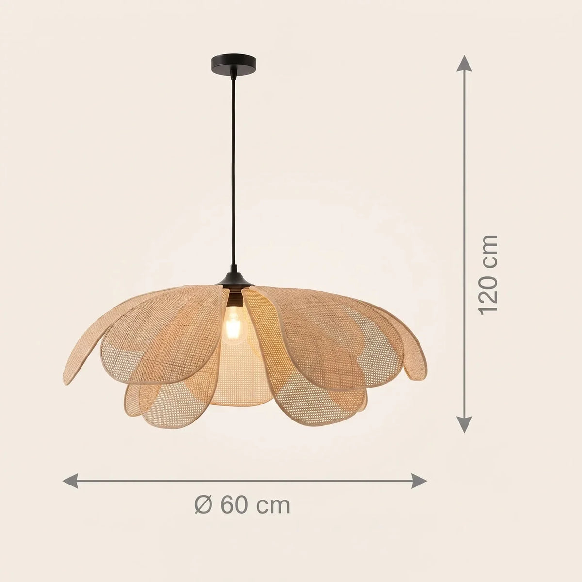 Schéma coté de la suspension Rousseau, Ø 60 cm et câble de 120 cm réglable